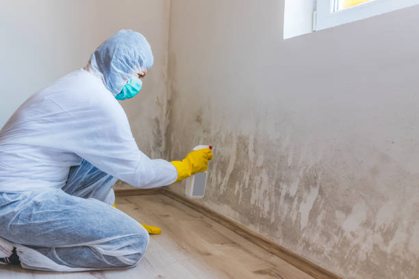 Licensed Commercial Mold Remediation service in Harleysville, PA - Car Mold Remediation